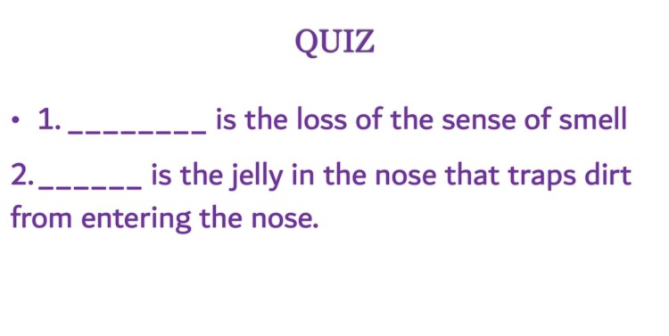 Exploring the Sense of Smell – Ms. Grace Science Lessons
